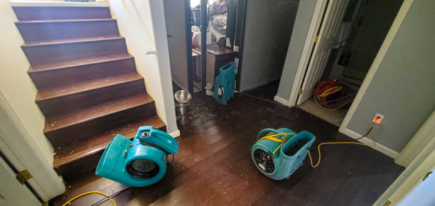 Best Water damage restoration near me  in Pearl River, NY