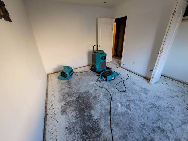 Best Emergency water damage restoration  in Pearl River, NY