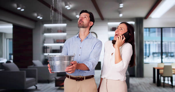 Best Ceiling water damage repair  in Pearl River, NY