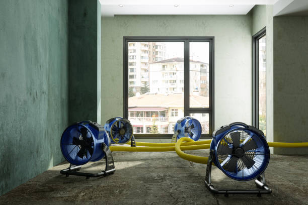 Best Mold removal after water damage  in Pearl River, NY